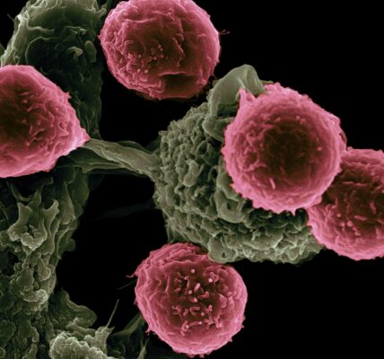 7 deaths, halts phase II clinical trial of MicroGenics