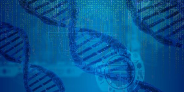 What is bioinformatics