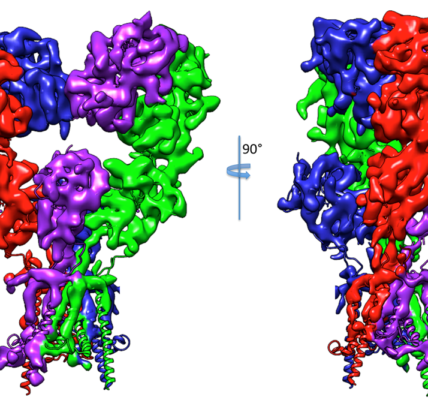 A Breakthrough, First Cryo-EM Structure from India