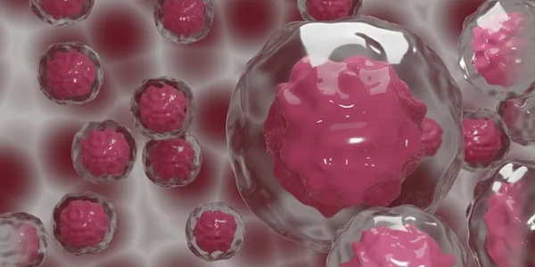 Lab grown blood stem cells can save lives?