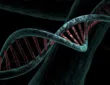 CRISPR CAS Identifies cancer genes multiple personalities