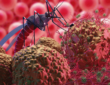 Breakthrough Chikungunya Vaccine of Valneva's: Phase 3 trial Data